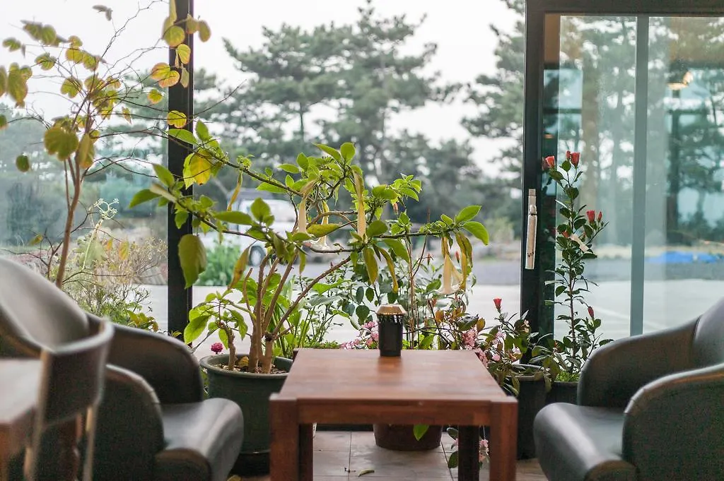 Ssaris Pension Jeju 0*,